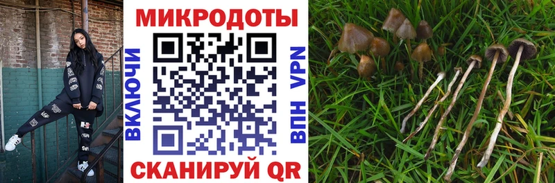 цены   Талдом  omg зеркало  Псилоцибиновые грибы мухоморы 
